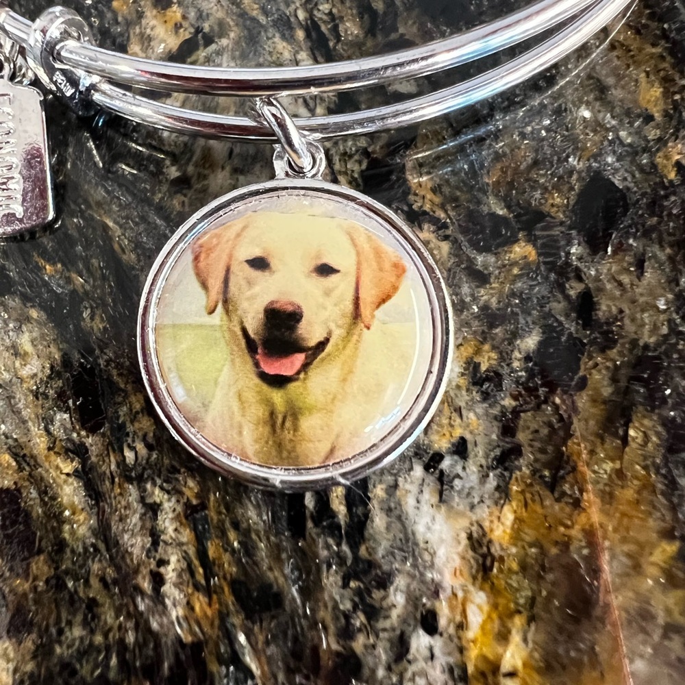 Wind and Fire bangle style Yellow Lab bracelet